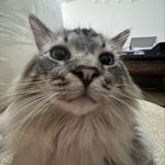 ron clark - @ghostwithapencil - Instagram