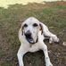 Ron Cody - Facebook
