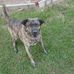 Ron Combs - Facebook