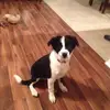 ronconner237 - @ronconner237 - TikTok