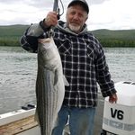 Ron Corrado - @roncorrado54 - Instagram