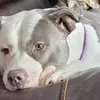 Ron Crocker - @ron.crocker4 - TikTok