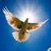 Ron Crow - Facebook
