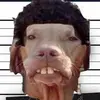 roncrowther500 - @roncrowther500 - TikTok