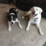 Ron Crowell - @rdcrhm - Instagram