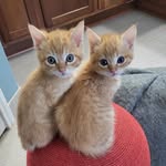 Ron Crowell - @ron.crowell - Instagram