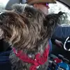 roncurrierlifeacc - @roncurrierlifeacc - TikTok