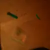 Shagz - @ronniecurrie133 - TikTok