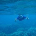 Ron Curtis - @ron_curtis - Instagram