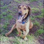 Ron Curtis - @rjcurtis4 - Instagram
