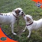 Ron Curtis - @sprky56susie - Instagram