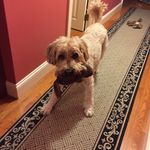 Ron Cushing - @cush.mfd - Instagram