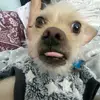 Ron day - @grandmaarmflabs - TikTok