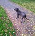 Ron Day - Facebook