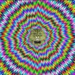 Ron Dayan - @ron.dayan42 - Instagram