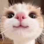 죔 녕 - @rondiaz.151 - Instagram