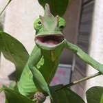 Ron Diaz - @ron.diaz.75 - Instagram