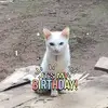 Ron Diaz - @ron.diaz57 - TikTok