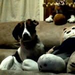 Ron Dill - @rondill997 - Instagram