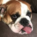 Ron Dillon - @ronniedillon03 - Instagram