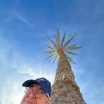 Ron Dionne - @trollpapa - Instagram