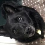 Ron Dockery - @redockery1 - Instagram