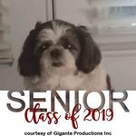 Rondal Dockery - @dockeryrondal - Instagram