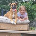 Ron Doyle - @rondoyle3 - Instagram