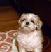 Ron Duquette - Facebook