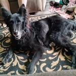 Ron Englebrecht - @ron.englebrecht - Instagram