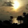 ronenos08 - @ronenos08 - TikTok