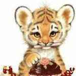 Tiger - @ronaldachimeberhardt - Instagram
