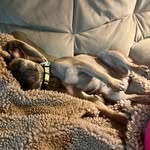 Ron Erickson - @ronerickson38 - Instagram
