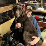 Ron Ernst - @ron.ernst1 - Instagram
