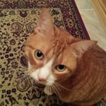 Ron Ernst - @ron.ernst.71 - Instagram
