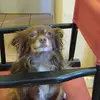 roneverett575 - @roneverett575 - TikTok