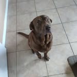 Ron Faber - @ron.faber.750 - Instagram