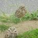 Ronald Fanning - Facebook