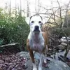 ronfanning5yy - @ronfanning5yy - TikTok