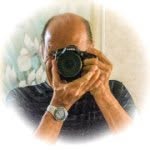Ron Faria - @photopafaria - Instagram
