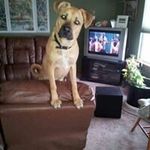 Ron Field - @field.ron - Instagram
