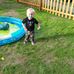 Ron Frampton - Facebook