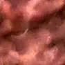 ronnieframpton319 - @ronnieframpton319 - TikTok