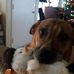 Ron Frantzen - Facebook