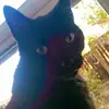 Ron Freedman - @ron.freedman0 - TikTok
