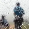 Ron Gabriel - @ron.gabriel2 - TikTok