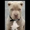Rony Gabriel - @ronygabriel78 - TikTok