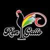 RG - @ron.gallo.cocktail - TikTok