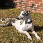 Ron Garner - @rcgarnermg - Instagram