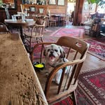 Ron Geddes - @geddesron - Instagram